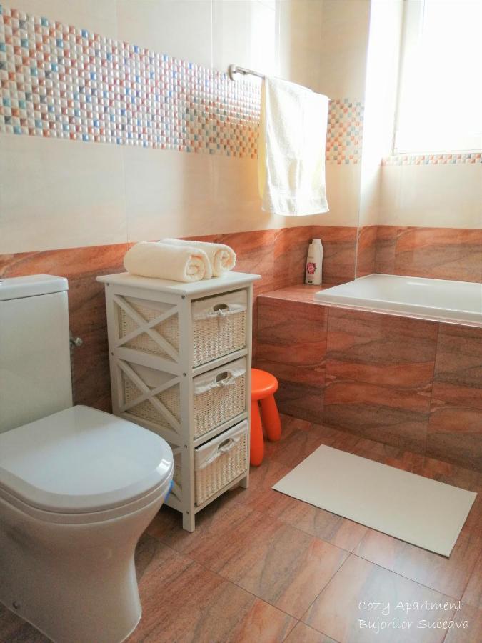 Cozy Apartment Bujorilor Szucsáva Kültér fotó