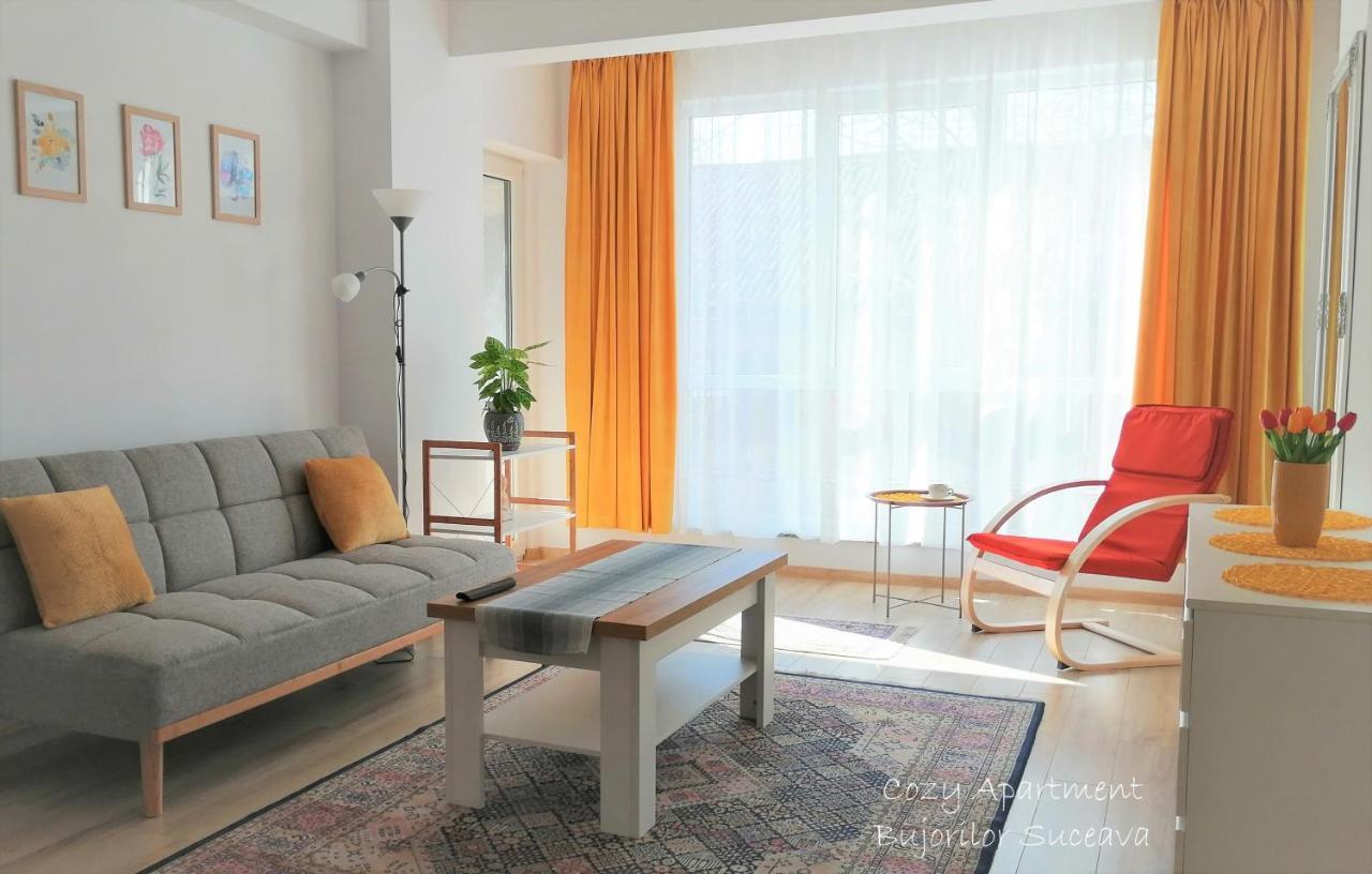 Cozy Apartment Bujorilor Szucsáva Kültér fotó
