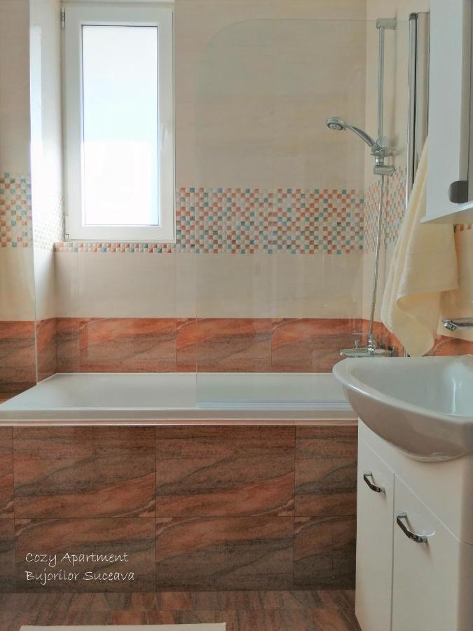 Cozy Apartment Bujorilor Szucsáva Kültér fotó
