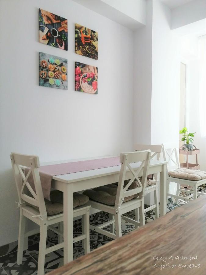 Cozy Apartment Bujorilor Szucsáva Kültér fotó