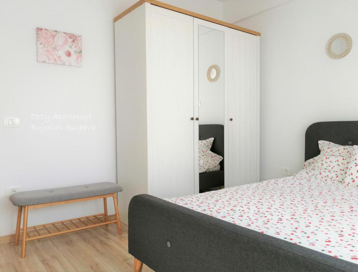 Cozy Apartment Bujorilor Szucsáva Kültér fotó