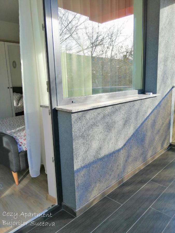 Cozy Apartment Bujorilor Szucsáva Kültér fotó