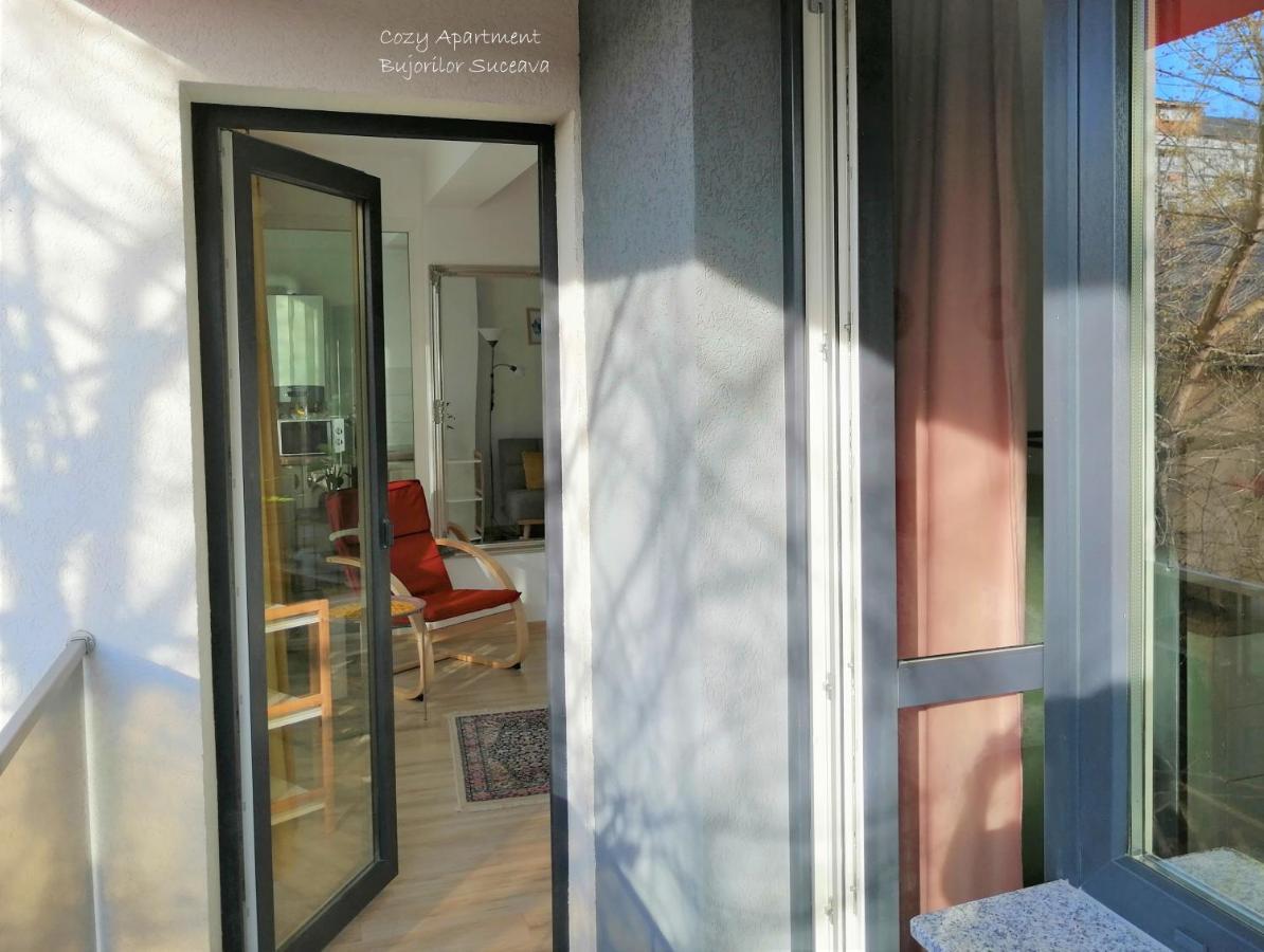 Cozy Apartment Bujorilor Szucsáva Kültér fotó