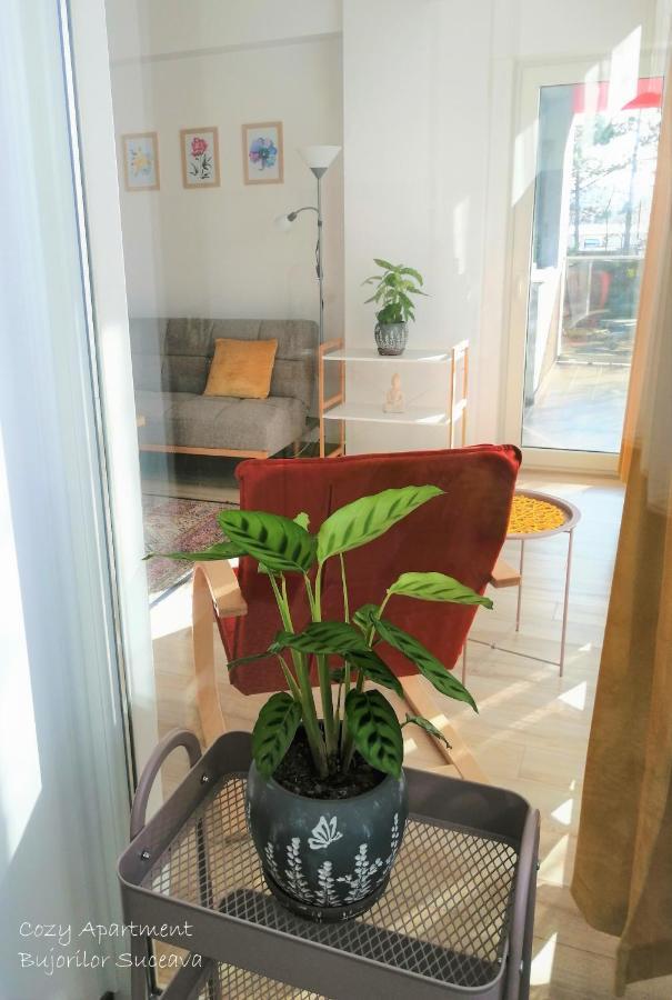 Cozy Apartment Bujorilor Szucsáva Kültér fotó