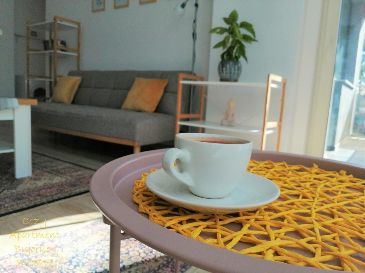 Cozy Apartment Bujorilor Szucsáva Kültér fotó