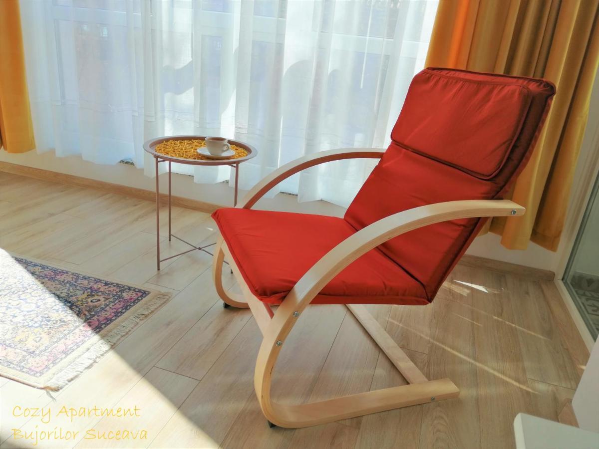 Cozy Apartment Bujorilor Szucsáva Kültér fotó