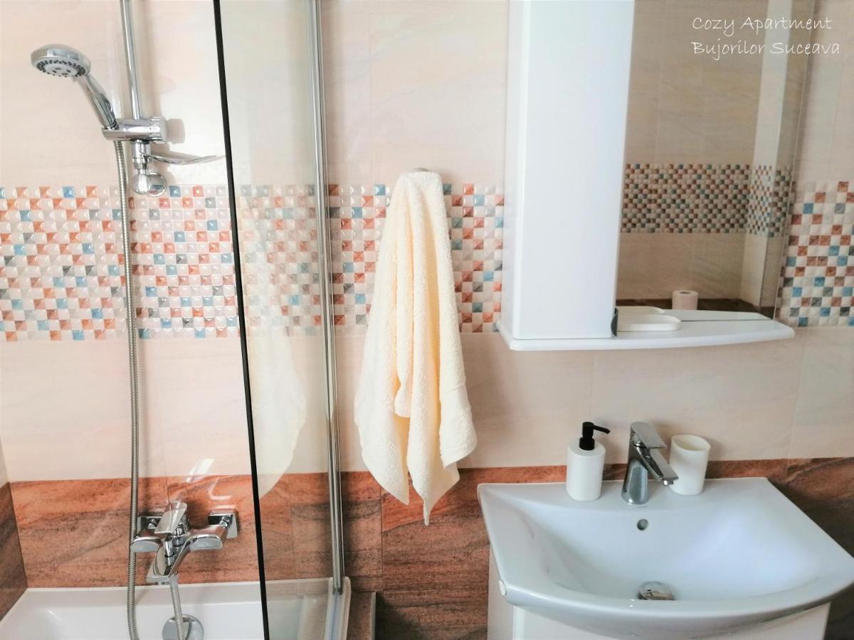Cozy Apartment Bujorilor Szucsáva Kültér fotó