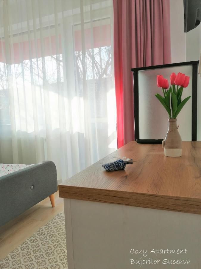 Cozy Apartment Bujorilor Szucsáva Kültér fotó