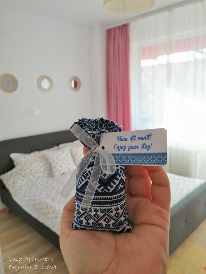 Cozy Apartment Bujorilor Szucsáva Kültér fotó