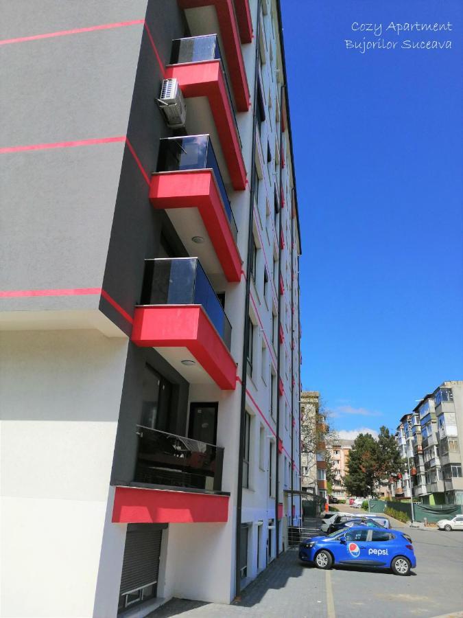 Cozy Apartment Bujorilor Szucsáva Kültér fotó