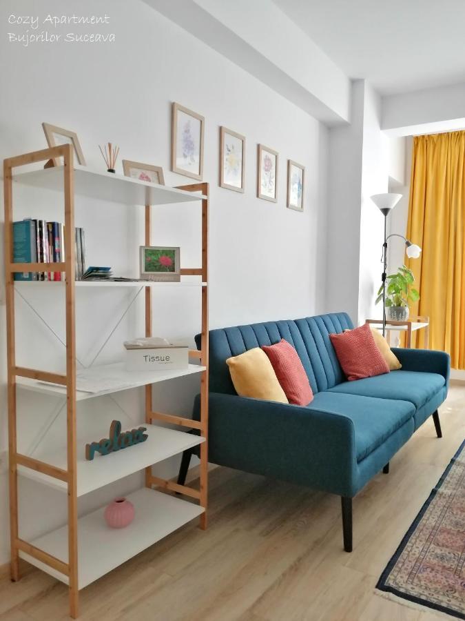 Cozy Apartment Bujorilor Szucsáva Kültér fotó